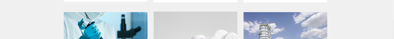 2.83L 博科鼓风机干燥箱